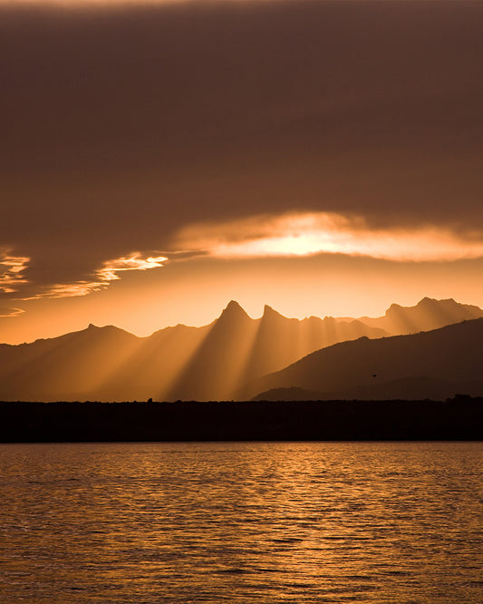 ARNS Léman Cropped T