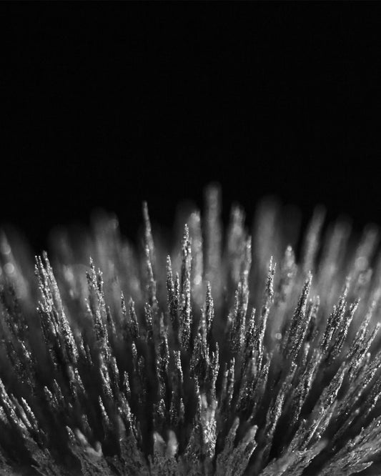 ARNS Magnet Heavy Hoodie