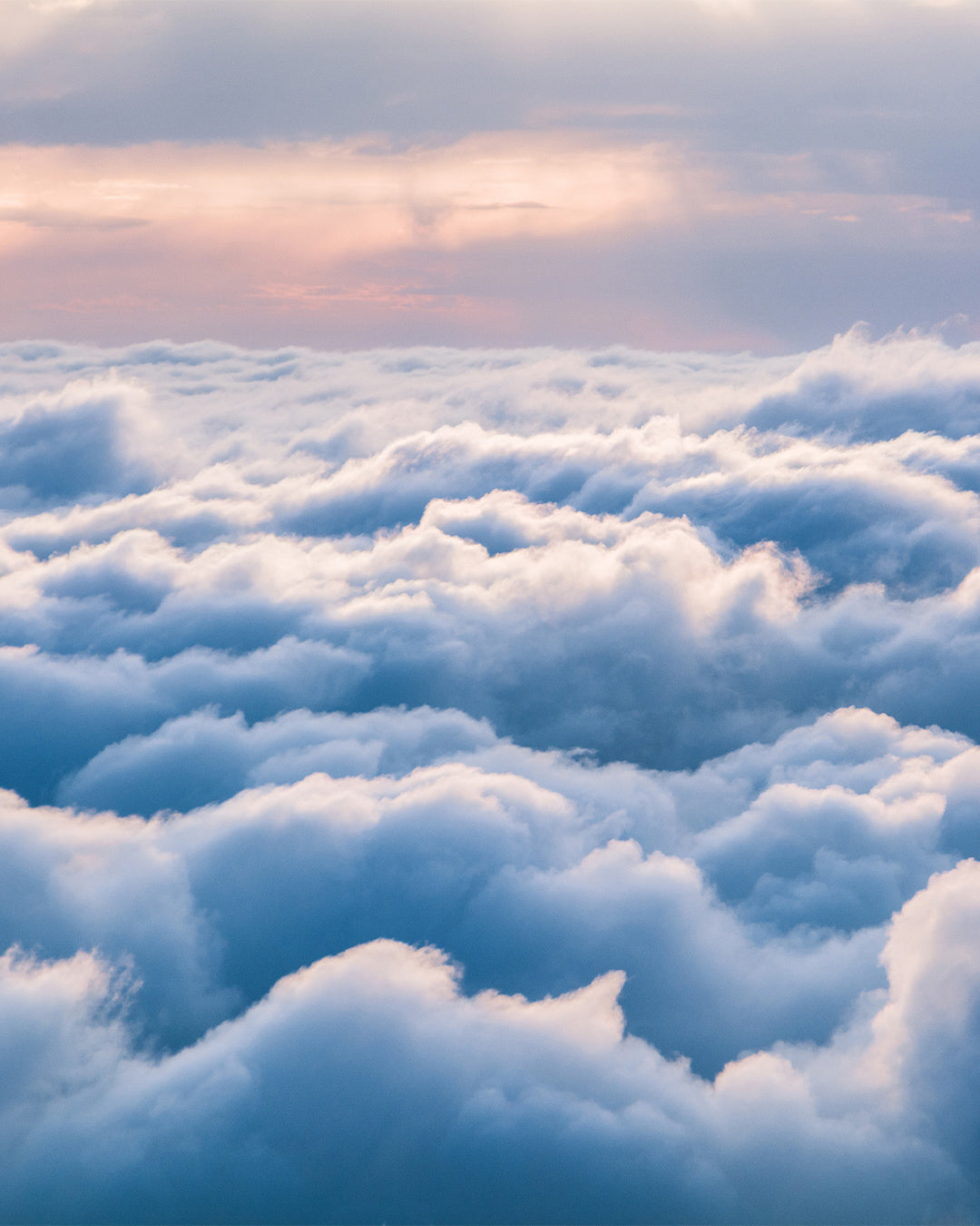 ESSENTIAL Joggers Set